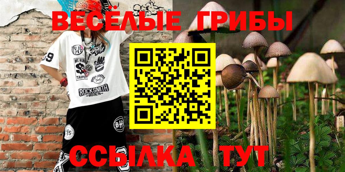 Кинель  Галлюциногенные грибы Cubensis  Псилоцибиновые грибы мухоморы  Вход с VPN 