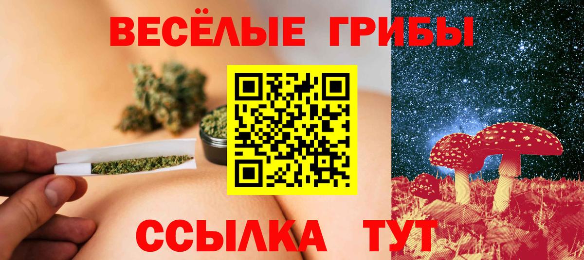 Галлюциногенные грибы Magic Shrooms Кинель